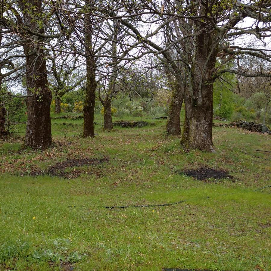 فيلا Casa Rural Leonor San Ciprián المظهر الخارجي الصورة